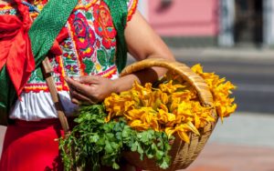 Oaxaca, artisanat, traditions, femme, panier, Mexique